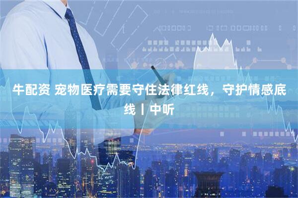 牛配资 宠物医疗需要守住法律红线，守护情感底线丨中听