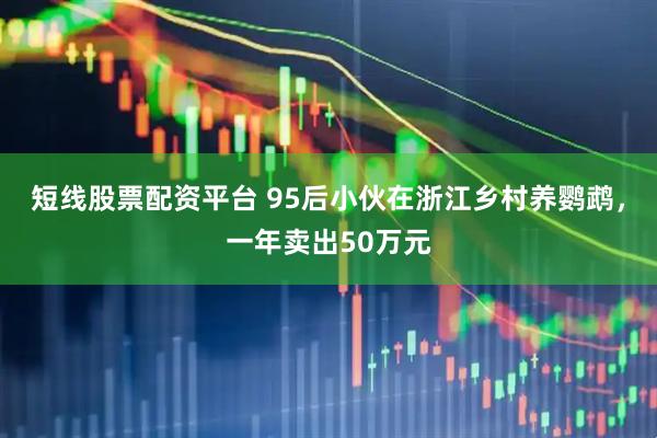 短线股票配资平台 95后小伙在浙江乡村养鹦鹉，一年卖出50万元