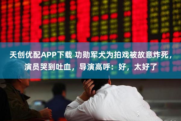 天创优配APP下载 功勋军犬为拍戏被故意炸死，演员哭到吐血，导演高呼：好，太好了