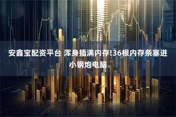 安鑫宝配资平台 浑身插满内存!36根内存条塞进小钢炮电脑